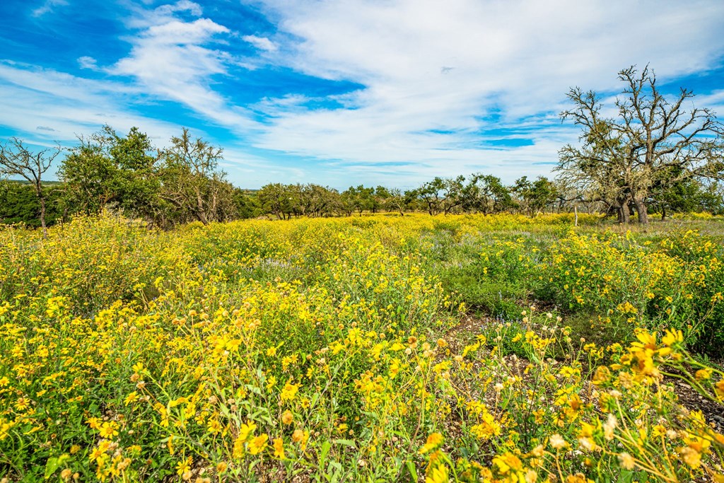 Lot 10 Reservation Road, Unit 10 Harper, TX 78631 - Photo 6 of 8 Gallery Image 6