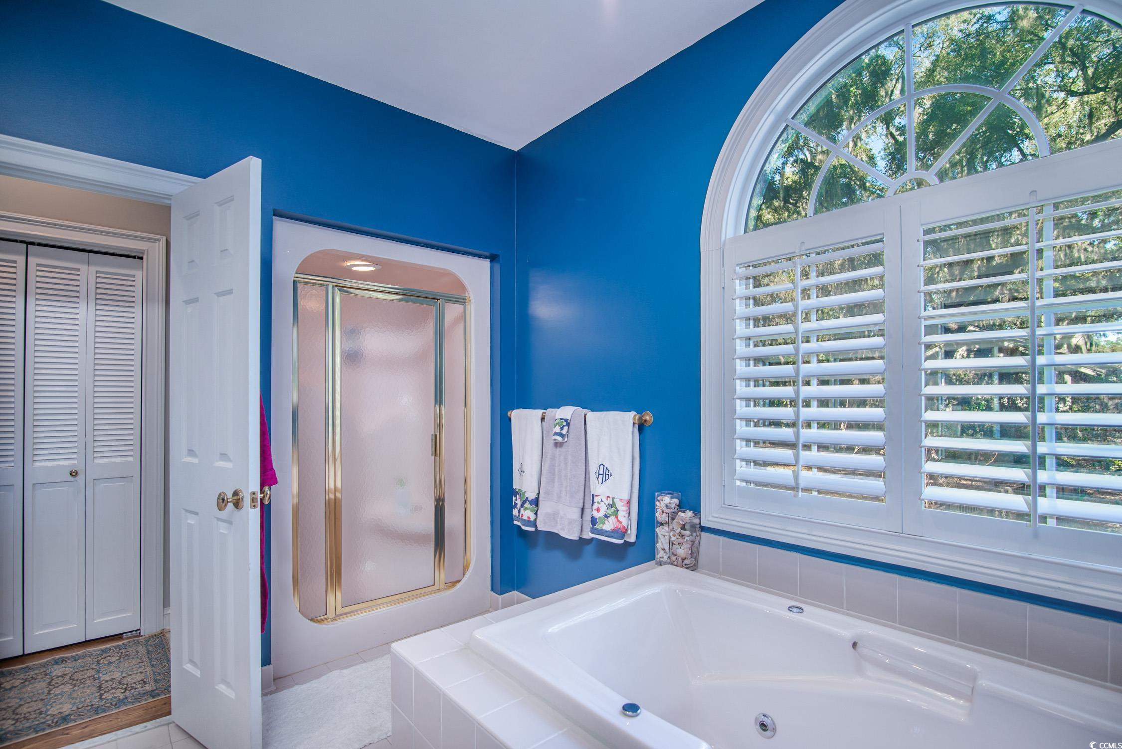 762 Wraggs Ferry Road Georgetown, SC 29440 - Photo 28 of 33 Bathroom with a whirlpool tub, plenty of natural light, a closet, and a shower stall