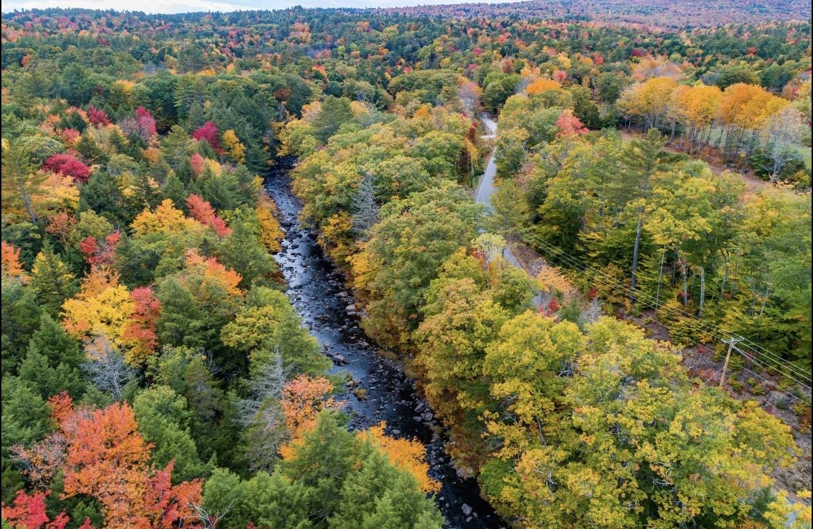 0 Smith River Road Alexandria, NH 03222 - Photo 12 of 16