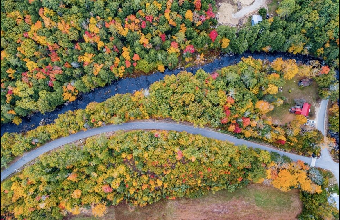 0 Smith River Road Alexandria, NH 03222 - Photo 14 of 16