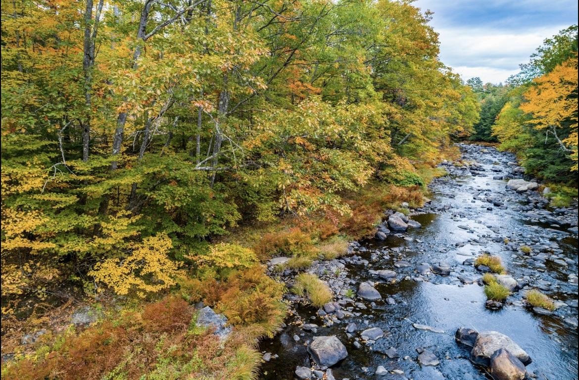 0 Smith River Road Alexandria, NH 03222 - Photo 4 of 16