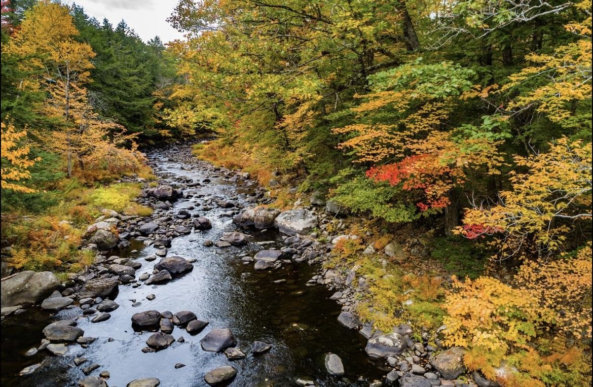 0 Smith River Road Alexandria, NH 03222 - Photo 5 of 16