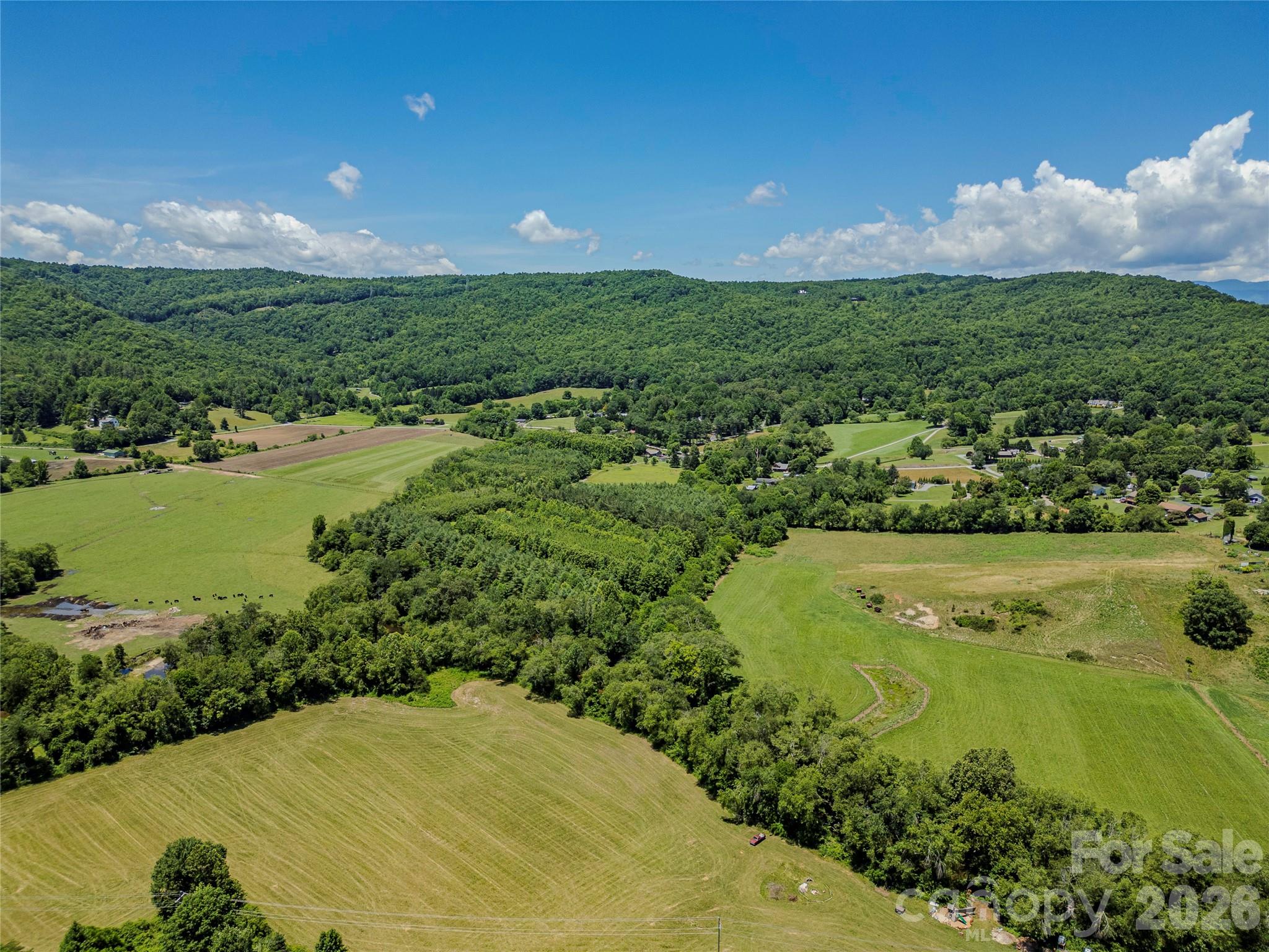 Tbd Canebrake Road Pisgah Forest, NC 28768 - Photo 28 of 43
