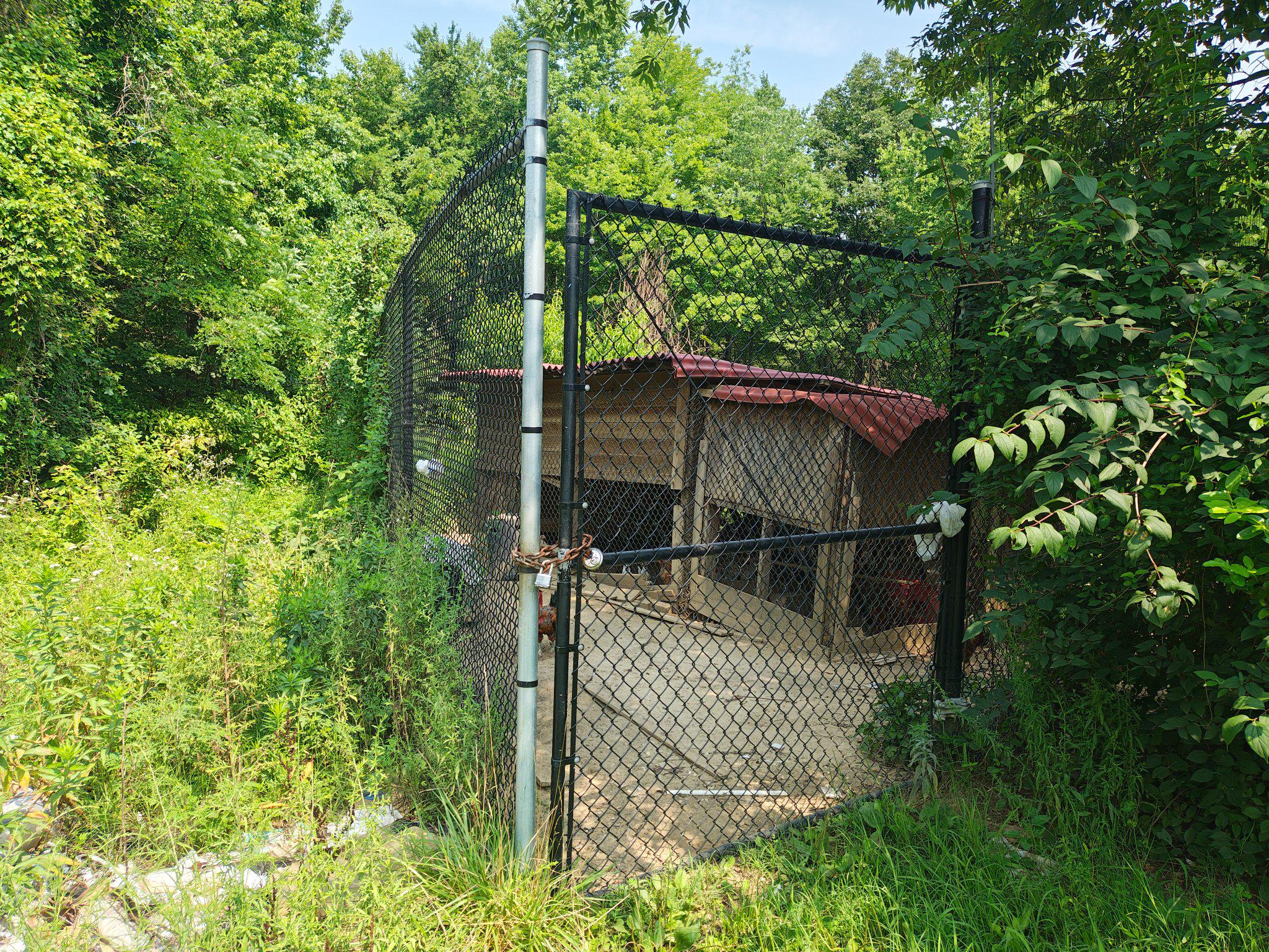 17737 Horsehead Road Brandywine, MD 20613 - Photo 11 of 20 Huge Secluded animal shelter in lush greenery.