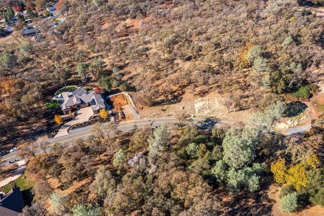 a view of a dry yard with lots of trees