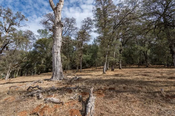 $142,000 | 23285 Darkhorse Drive, Auburn, CA 95602