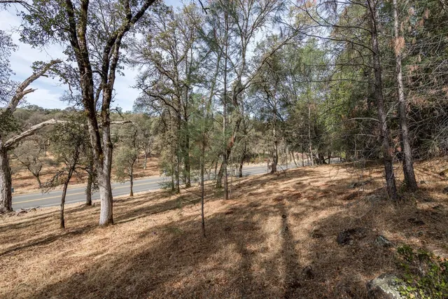 a view of outdoor space with trees