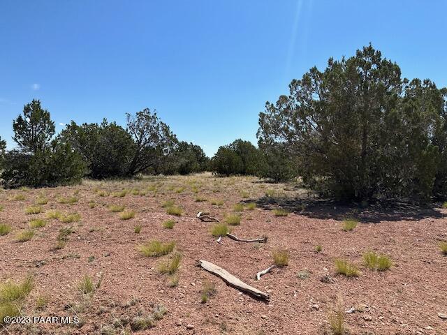 340- Dusty Rose Road Seligman, AZ 86337 - Photo 1 of 10 IMG_5627