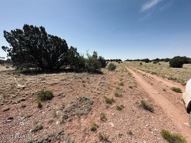 340- Dusty Rose Road Seligman, AZ 86337 - Photo 3 of 10 IMG_5623