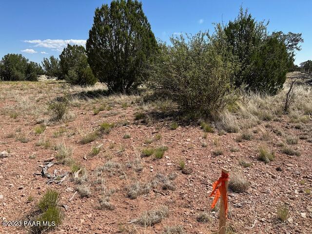 340- Dusty Rose Road Seligman, AZ 86337 - Photo 4 of 10 IMG_5625