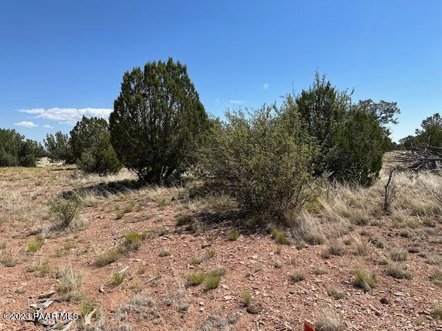 340- Dusty Rose Road Seligman, AZ 86337 - Photo 5 of 10 IMG_5626