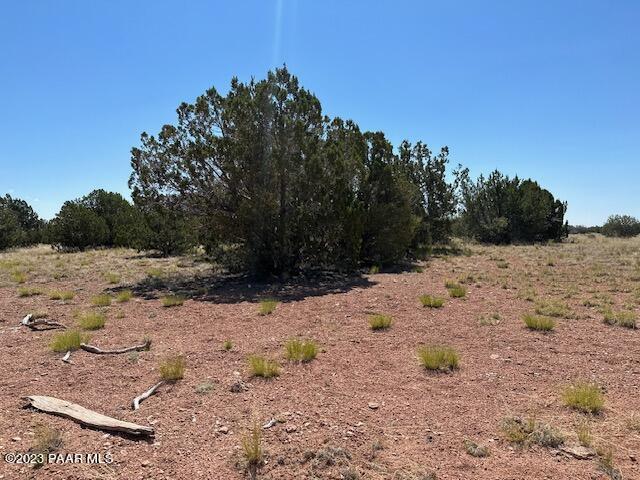 340- Dusty Rose Road Seligman, AZ 86337 - Photo 6 of 10 IMG_5628