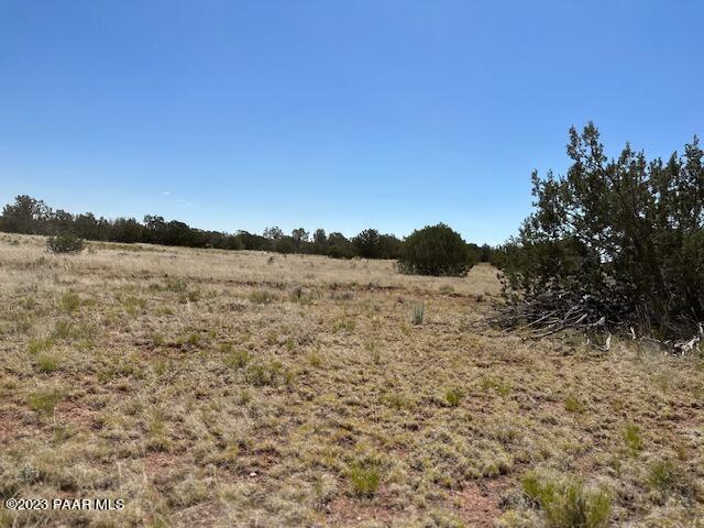 340- Dusty Rose Road Seligman, AZ 86337 - Photo 7 of 10 IMG_5629