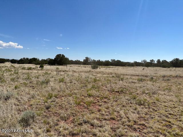 340- Dusty Rose Road Seligman, AZ 86337 - Photo 8 of 10 IMG_5630