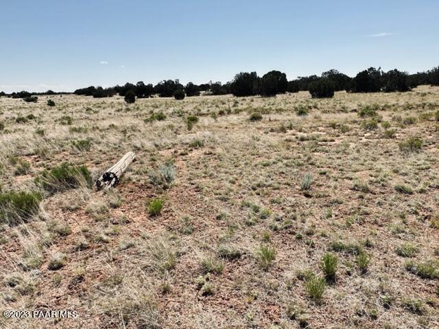 340- Dusty Rose Road Seligman, AZ 86337 - Photo 10 of 10 IMG_5632
