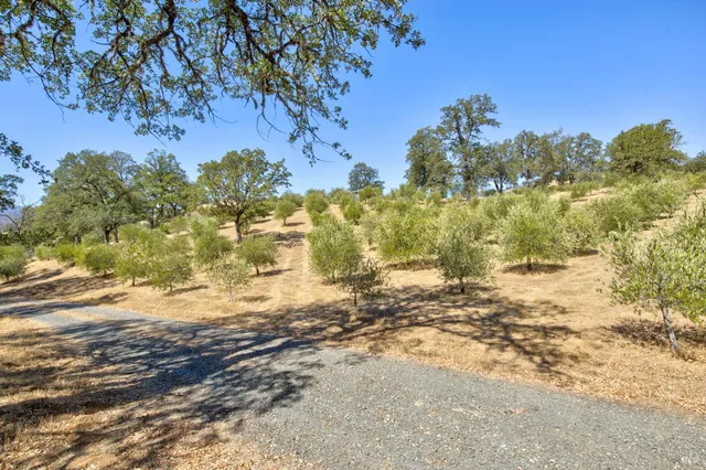 $985,000 | 1280 Highway 20, Upper Lake, CA 95485