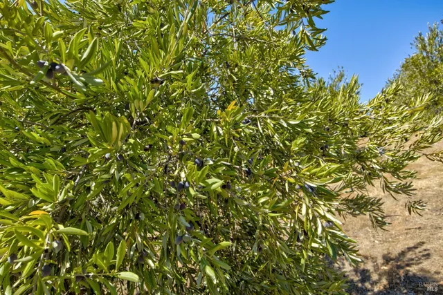 $985,000 | 1280 Highway 20, Upper Lake, CA 95485