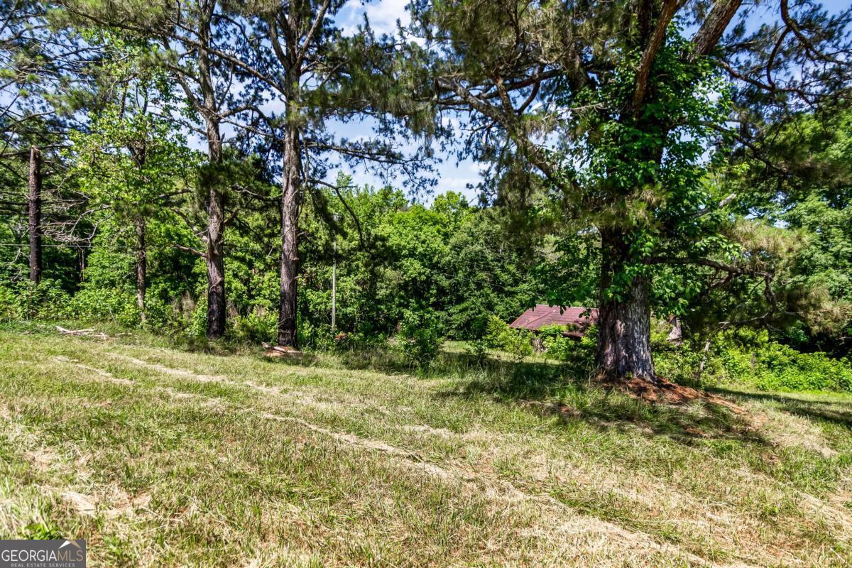 773 Fairview Road Jasper, GA 30143 - Photo 29 of 73