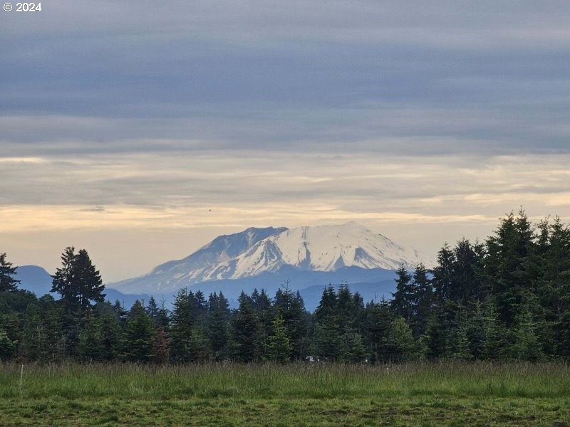 1016 Peach Road Winlock, WA 98596 - Photo 12 of 43 a view of a lake with a mountain in the background