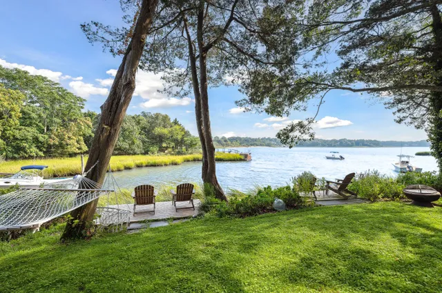 a view of a lake with a yard and a large tree