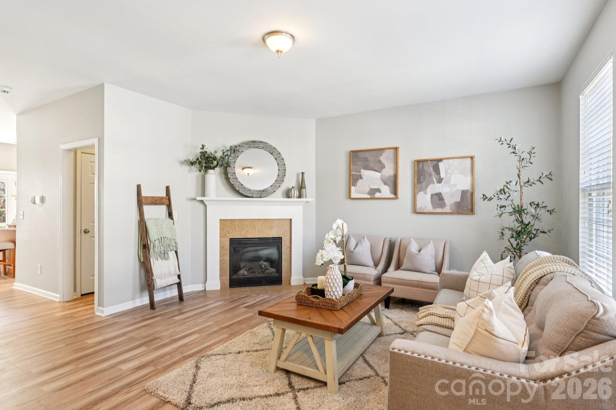 209 Township Drive Fort Mill, SC 29715 - Photo 1 of 31 a living room with furniture and a fireplace