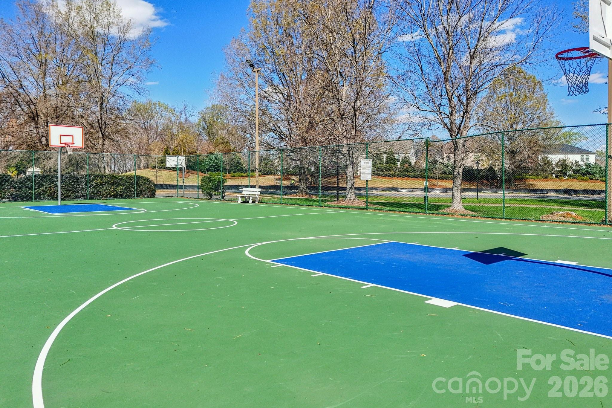 209 Township Drive Fort Mill, SC 29715 - Photo 24 of 31 a view of a volley ball court