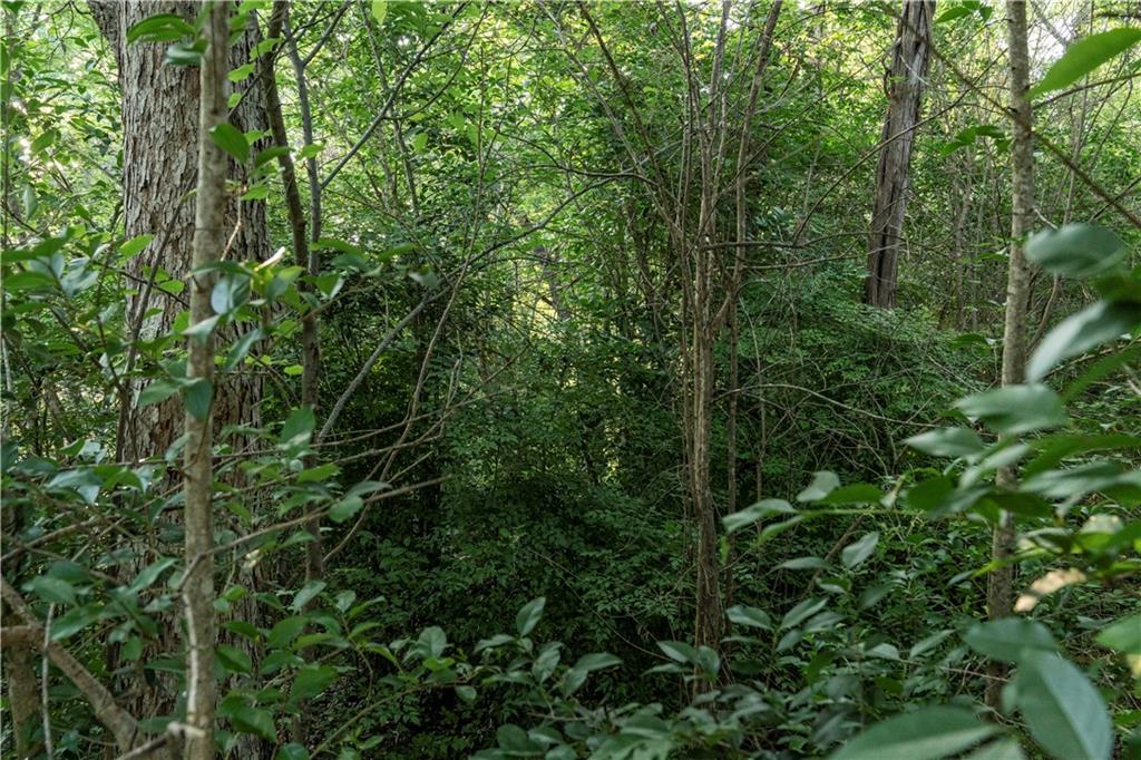 2918 Maple Hill Circle Waco, TX 76708 - Photo 5 of 9 a view of a forest
