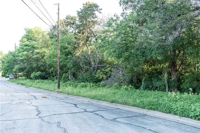 a view of a yard with plants and large trees