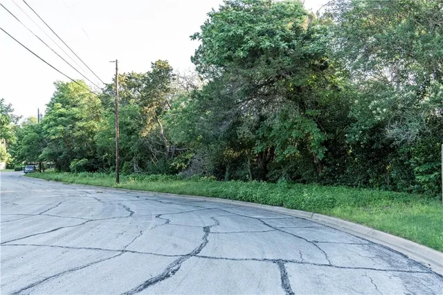 a view of a yard with trees in the background