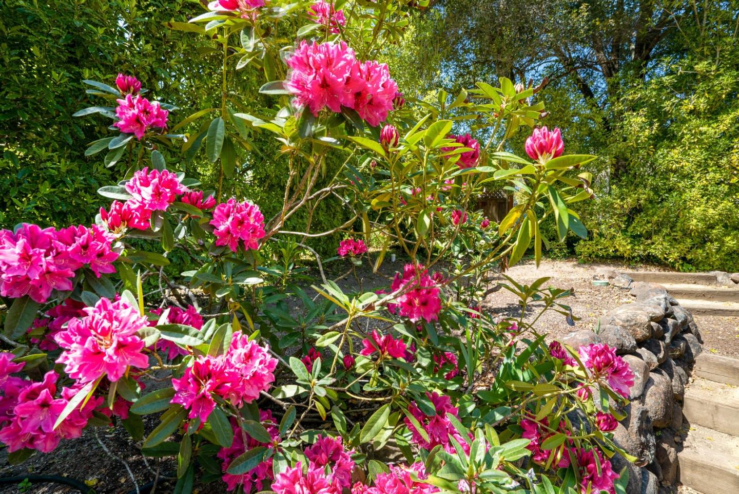 91 Mountain View Road Santa Cruz, CA 95065 - Photo 54 of 72 Gallery Image 54