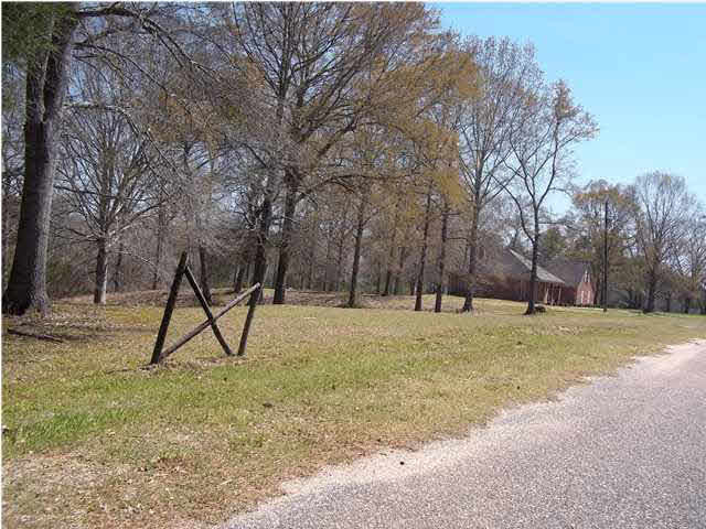 166 H Dear Road Harrisville, MS 39082 - Photo 17 of 21 property