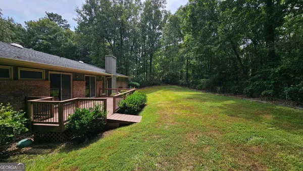 a view of a backyard with plants and large trees