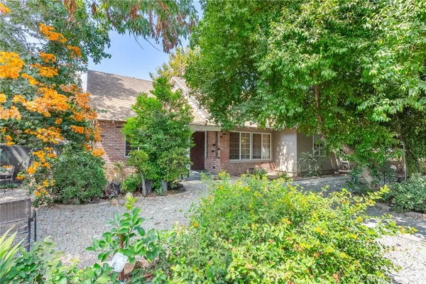 a backyard of a house with plants and large tree