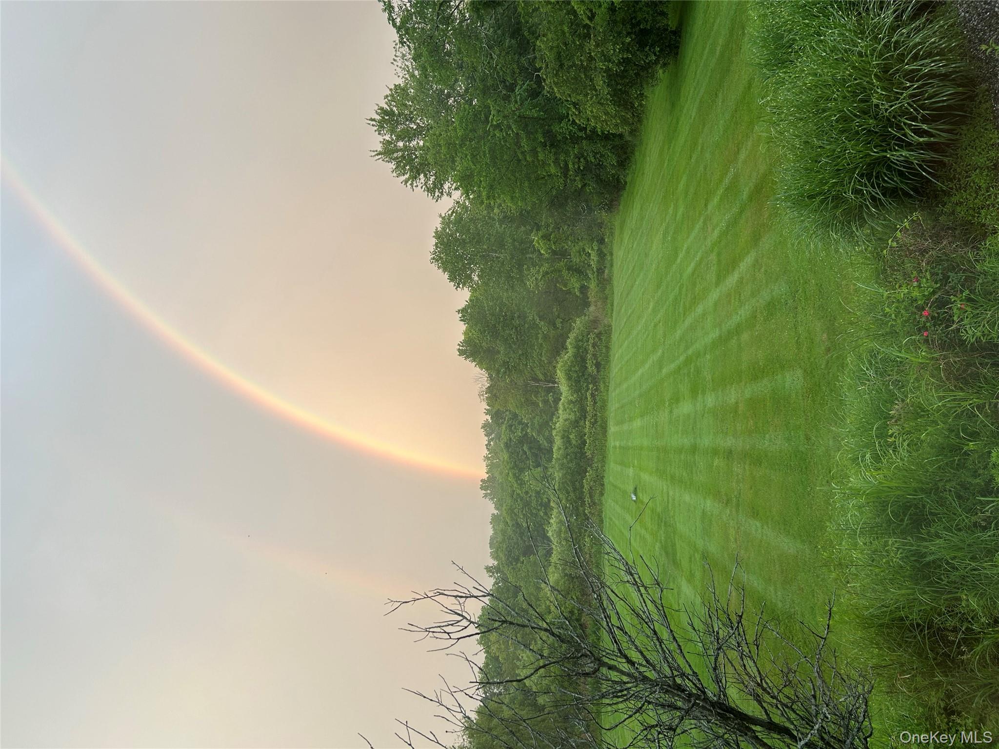 78 Baldwin Road Patterson, NY 12563 - Photo 46 of 50 a view of grassy field with trees