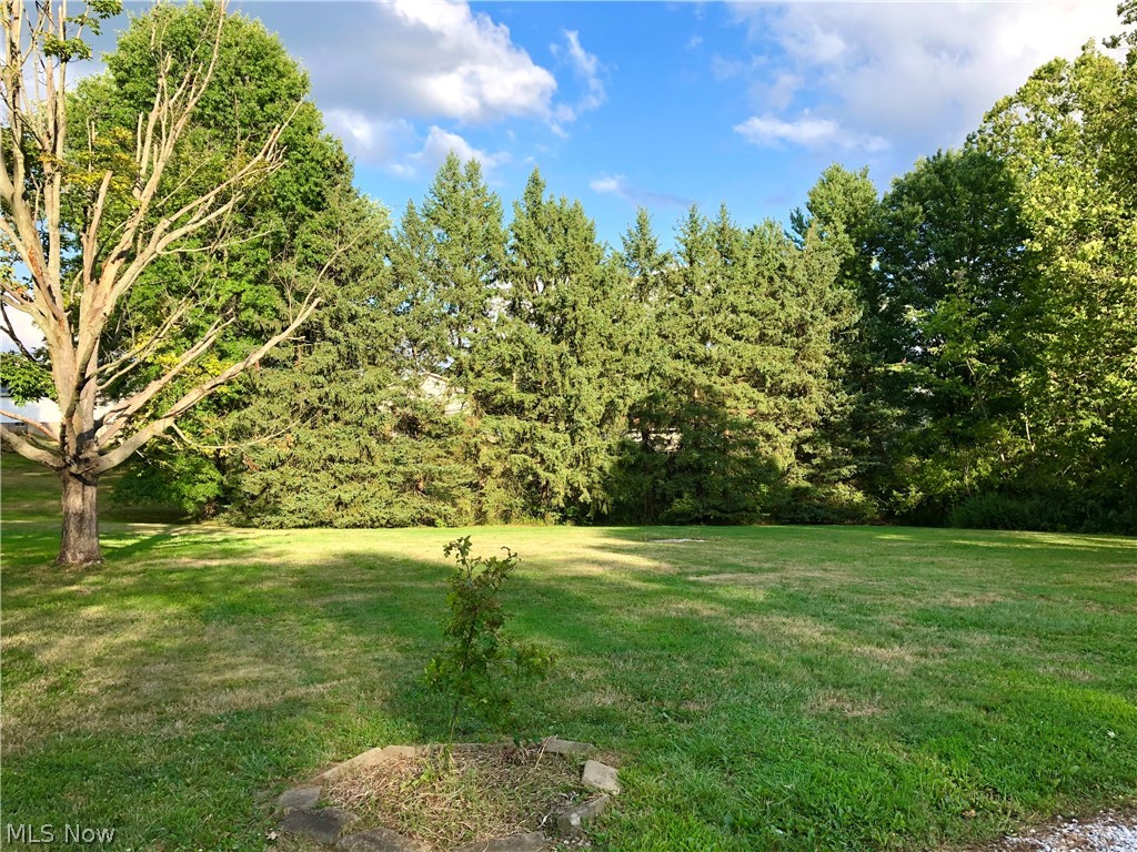 5955 Dailey Road New Franklin, OH 44319 - Photo 3 of 21