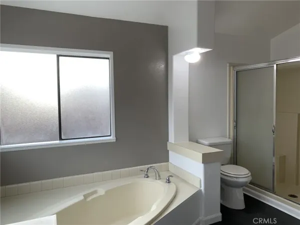 a bathroom with a bathtub and a toilet