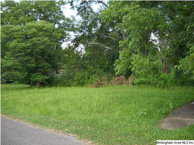 109 Yeager Road Warrior, AL 35180 - Photo 1 of 2