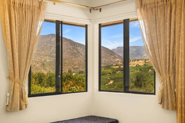 a view of a glass door with a tree