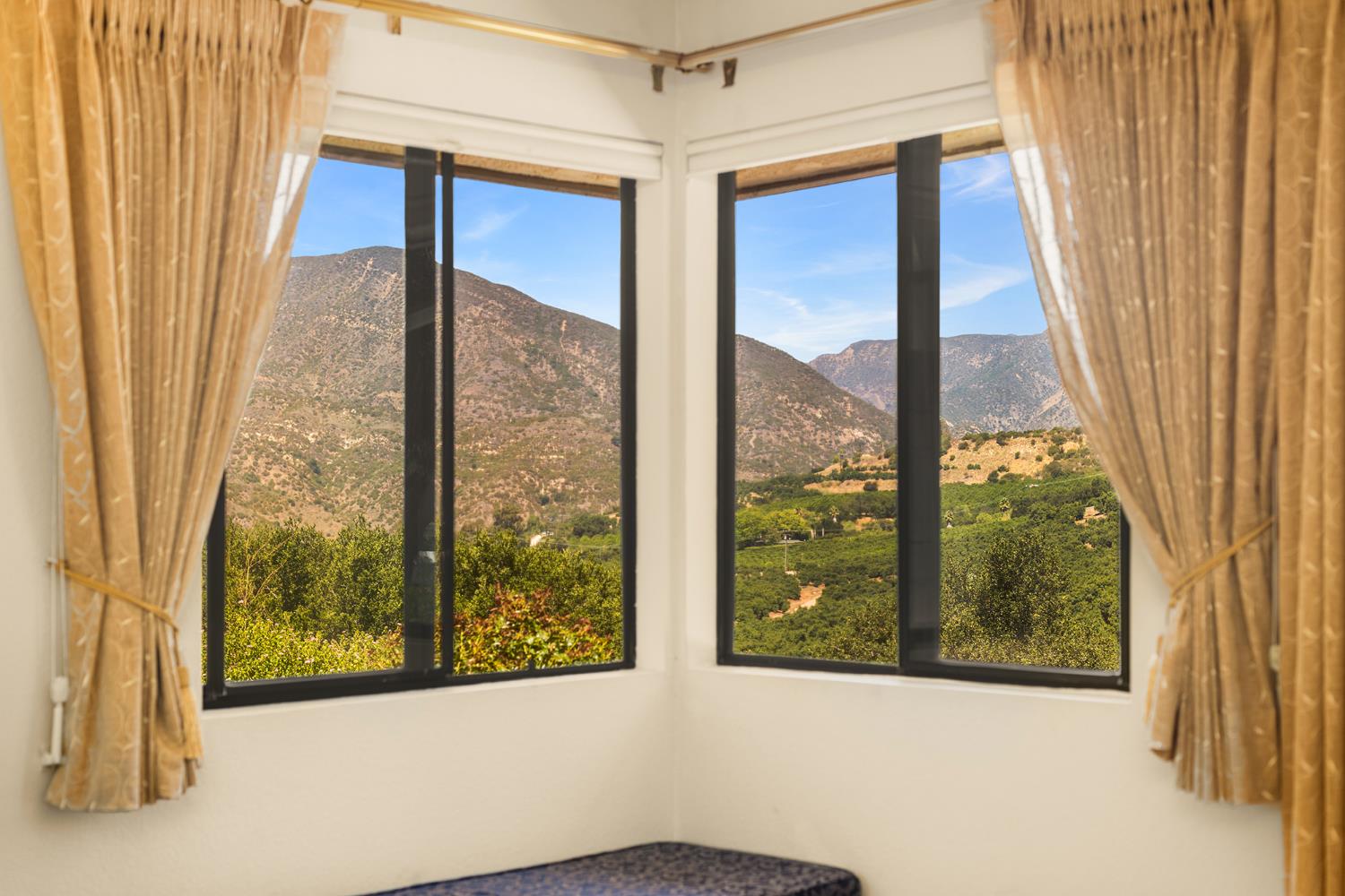 534 Fairview Road Ojai, CA 93023 - Photo 12 of 20 a view of a glass door with a tree