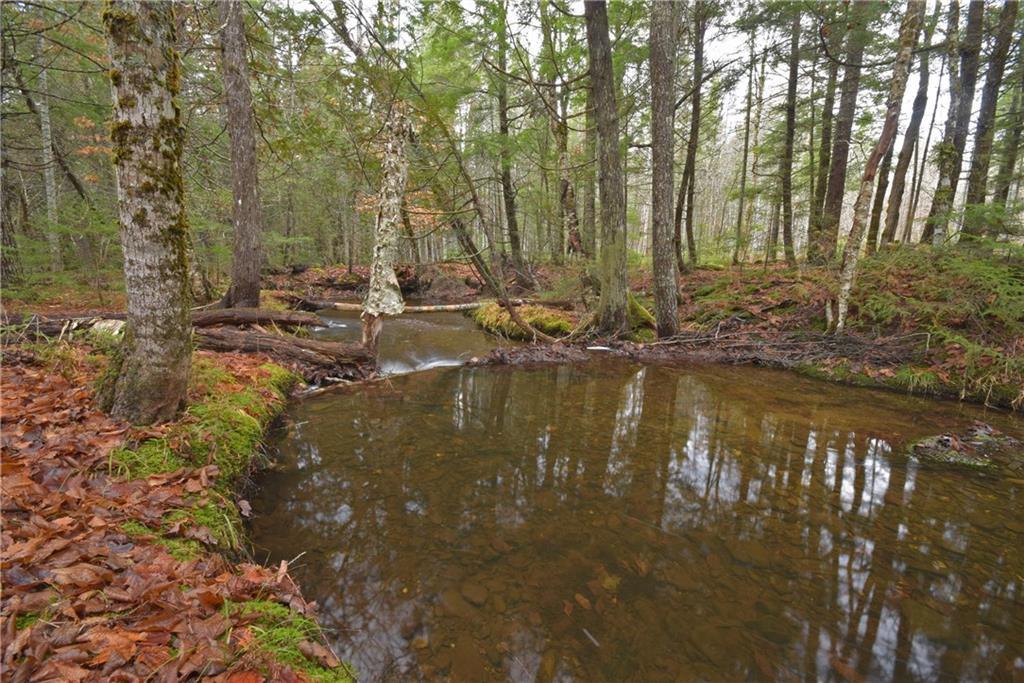 On Sheepskin Road Carroll Plt, ME 04487 - Photo 9 of 30 Photo