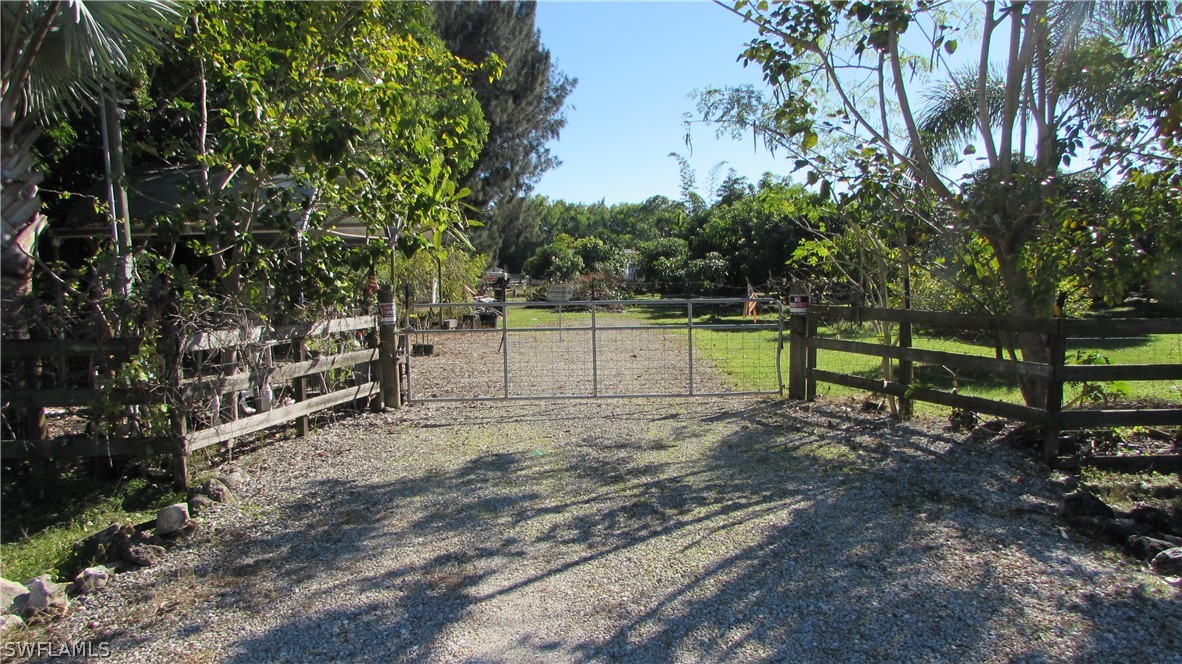 a view of a yard with wooden fence