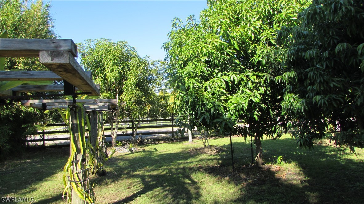 8390 Stringfellow Road St. James City, FL 33956 - Photo 14 of 35 a view of outdoor space yard and lake view