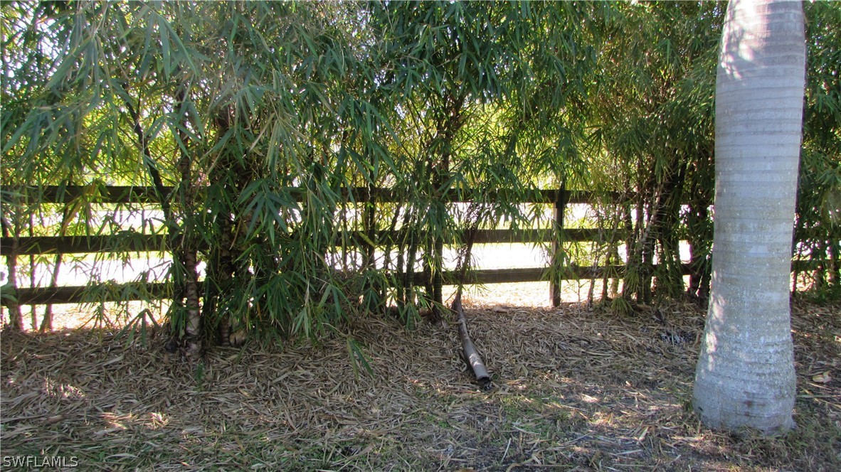 8390 Stringfellow Road St. James City, FL 33956 - Photo 15 of 35 a backyard of a house with large trees