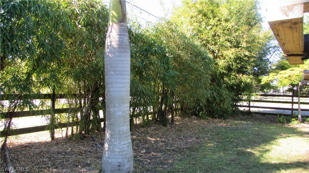 8390 Stringfellow Road St. James City, FL 33956 - Photo 16 of 35 a view of a yard with plants and large trees