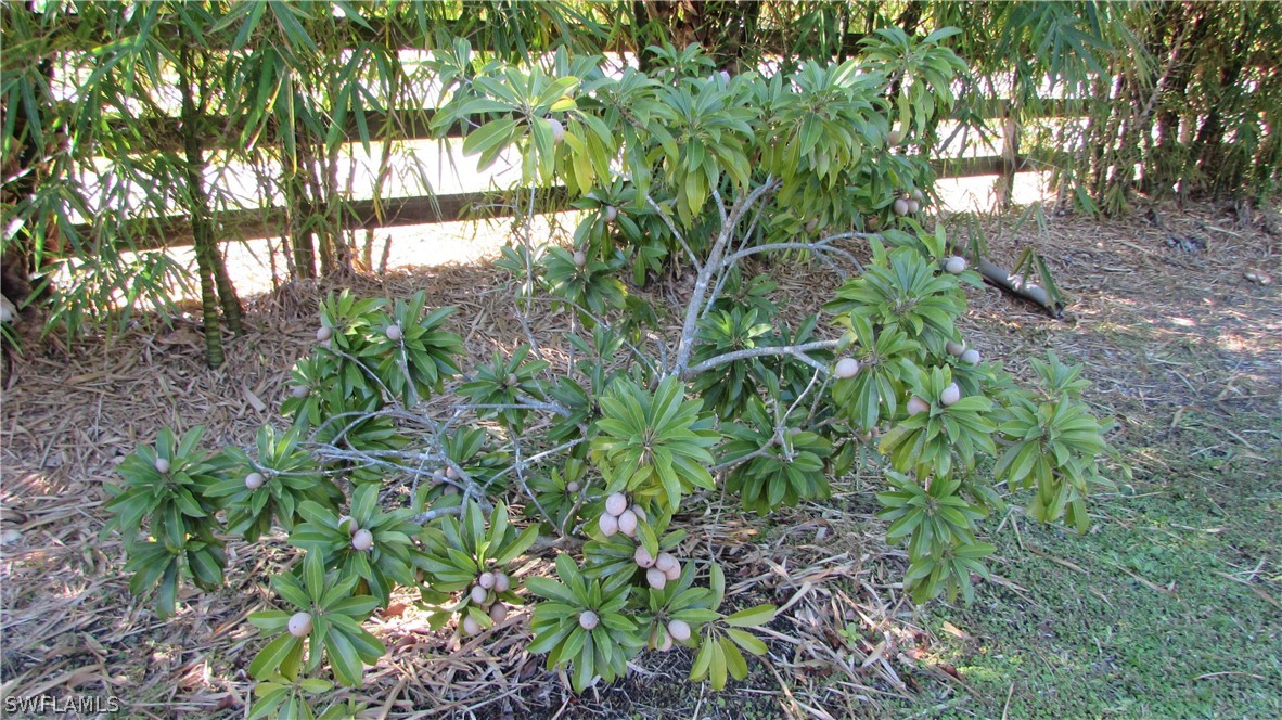 8390 Stringfellow Road St. James City, FL 33956 - Photo 17 of 35