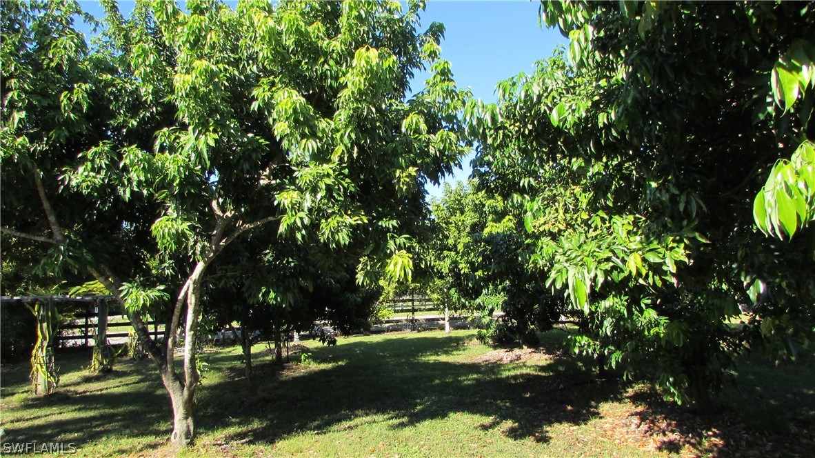 8390 Stringfellow Road St. James City, FL 33956 - Photo 19 of 35 a view of backyard with swimming pool