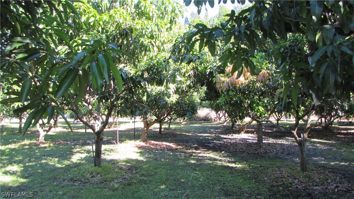 8390 Stringfellow Road St. James City, FL 33956 - Photo 22 of 35 a view of yard with trees