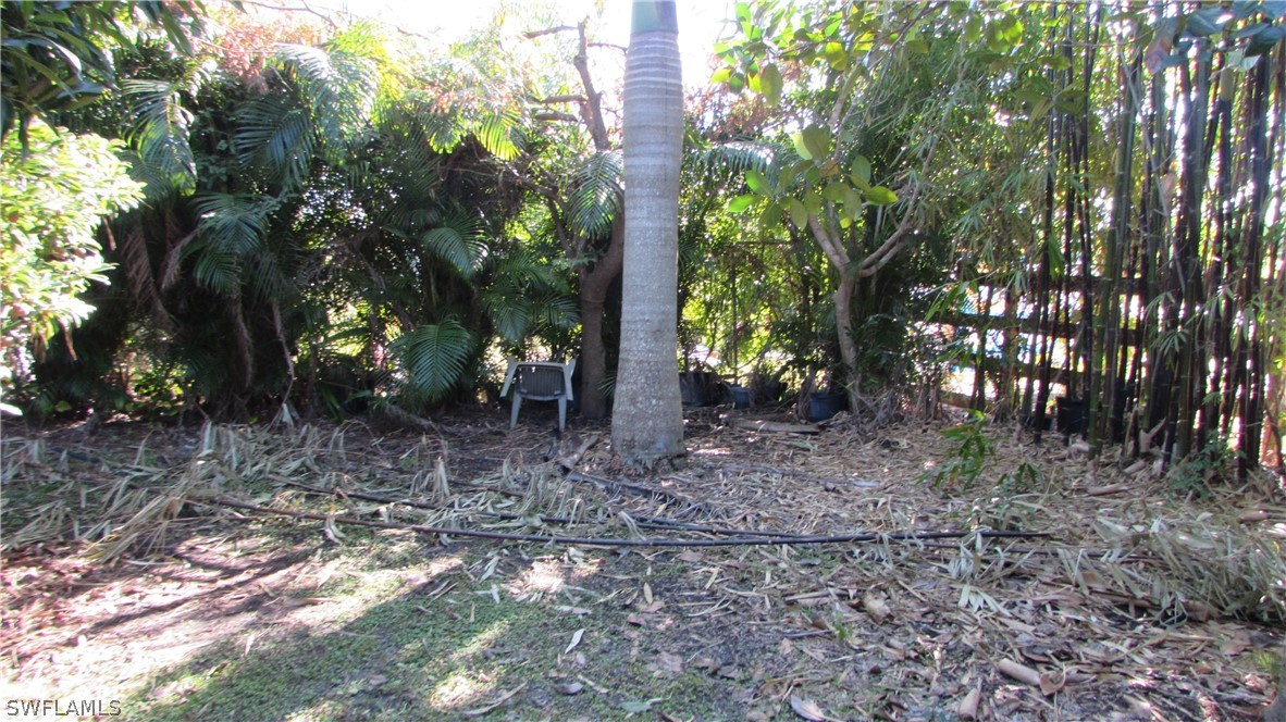 8390 Stringfellow Road St. James City, FL 33956 - Photo 23 of 35 a view of a forest that has large trees