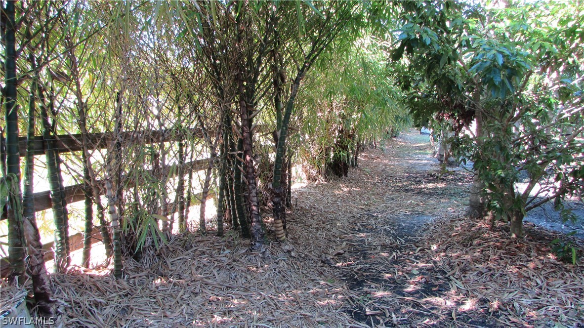 8390 Stringfellow Road St. James City, FL 33956 - Photo 24 of 35 a view of a forest