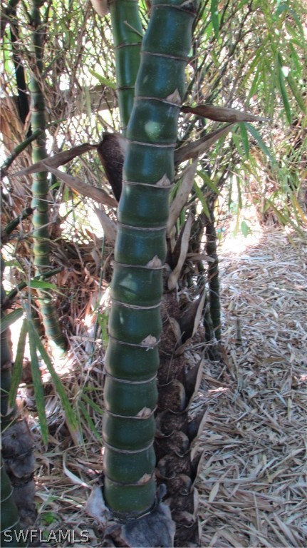 8390 Stringfellow Road St. James City, FL 33956 - Photo 25 of 35